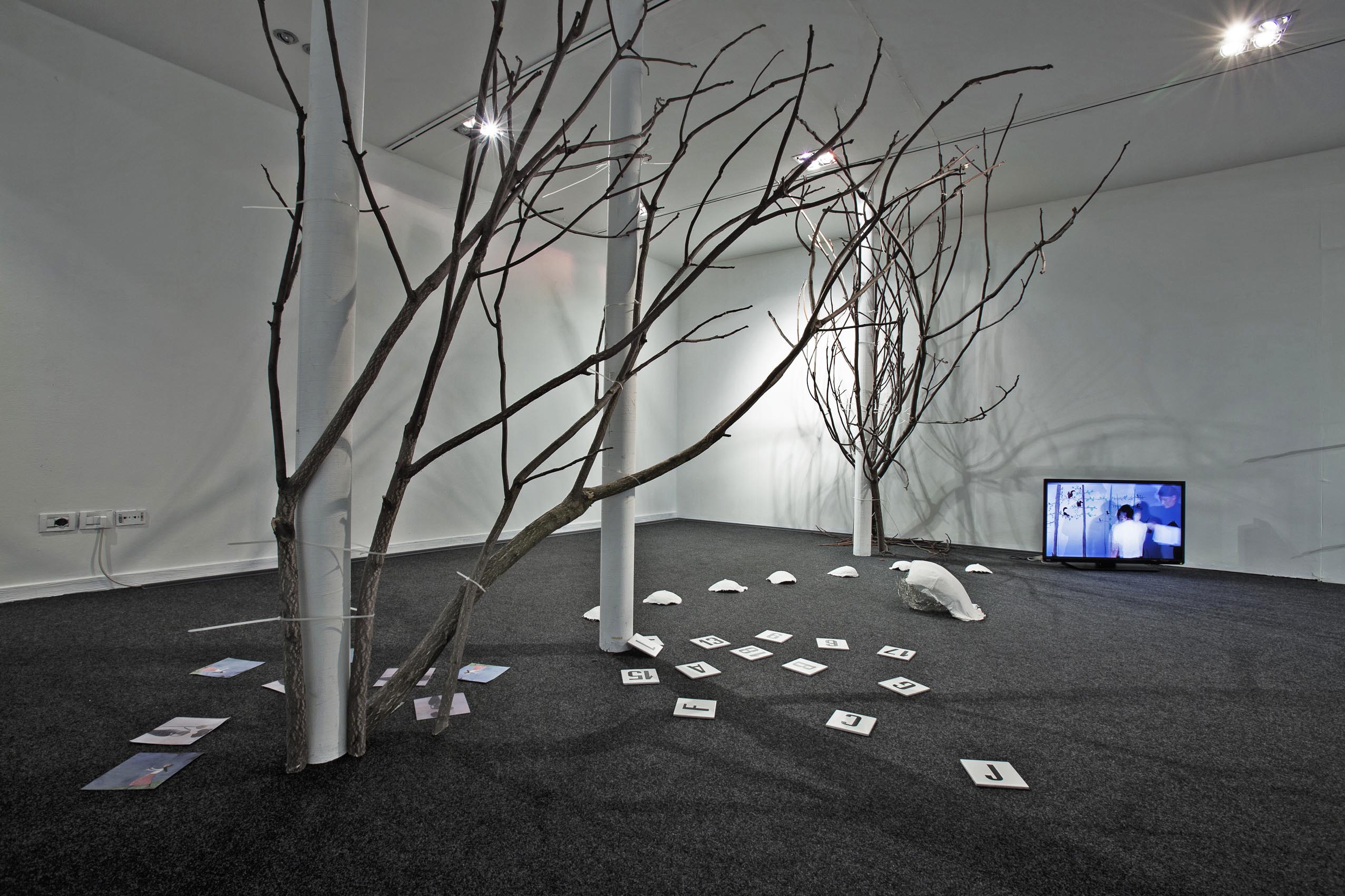 art019h093